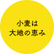 小麦は大地の恵み